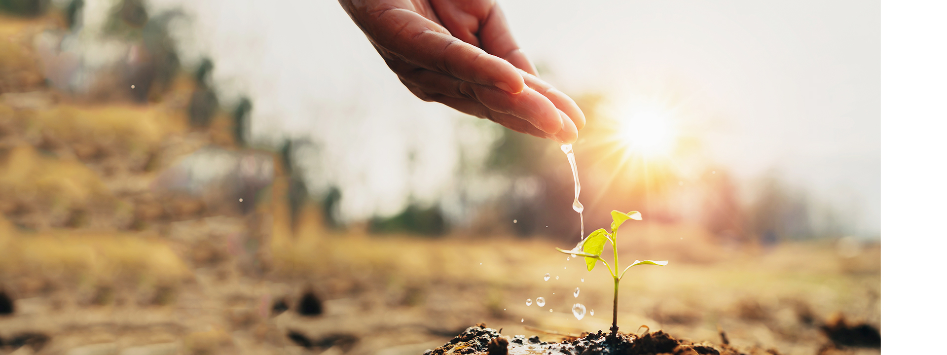 中国·1277星际电子游戏(股份有限公司)-Official website