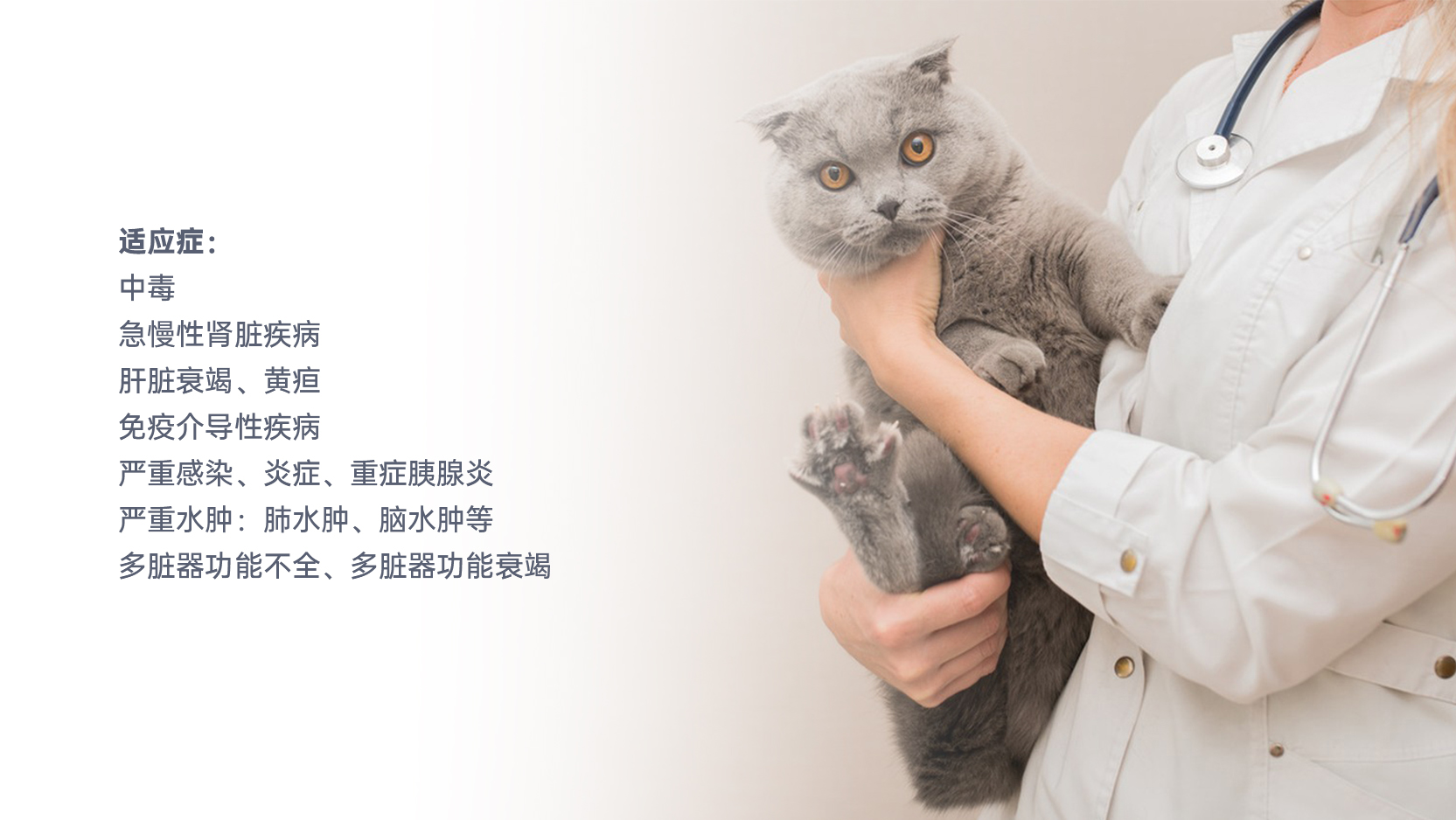 中国·1277星际电子游戏(股份有限公司)-Official website